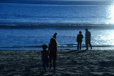 DSC_1191 (Large).JPG